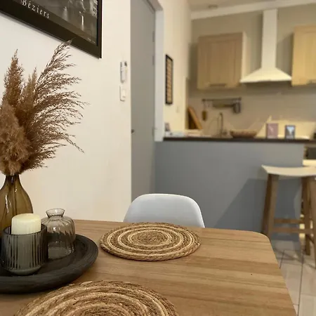 Joli Hypercentre T2, Classe Meuble De Tourisme 3 Avec Parking Gratuit Apartment *