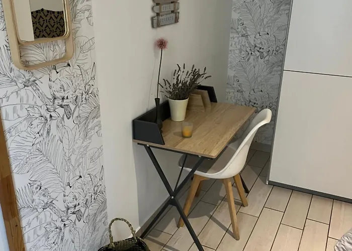Joli Hypercentre T2, Classé Meublé De Tourisme 3 Avec Parking Gratuit *