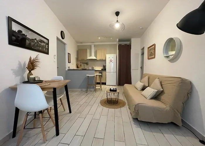 Joli Hypercentre T2, Classé Meublé De Tourisme 3 Avec Parking Gratuit * Béziers